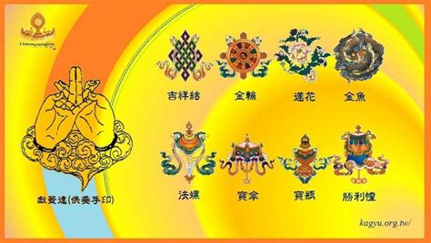 吉祥蓮花圖案|八吉祥的圖案有何含義？正確的擺放順序是什麼？ – 大。